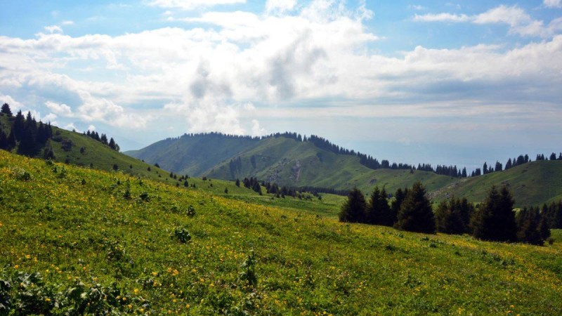 Белсенділер Көкжайлауды дамыту жобасын ұсынды