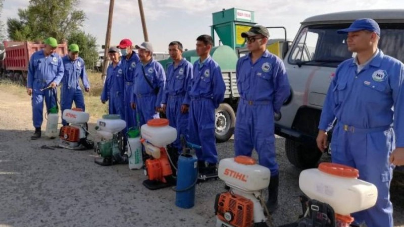 Арыста дезинфекция жұмыстары басталды