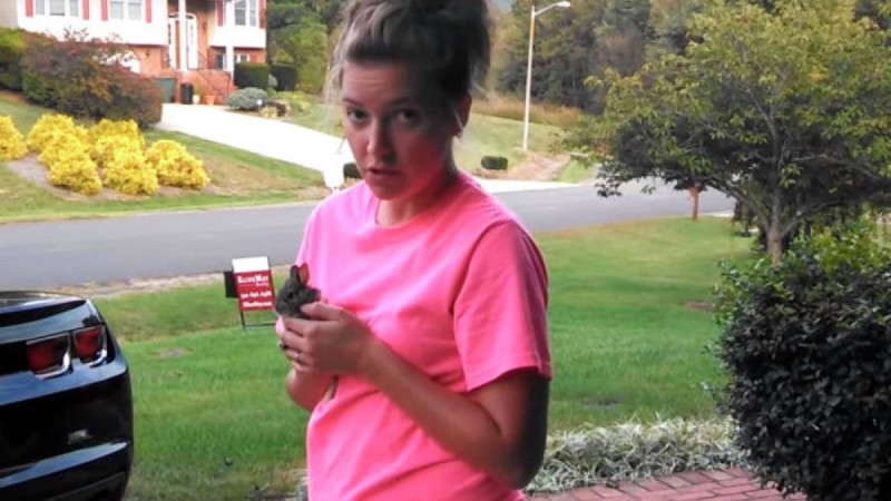 Көжекке тұтқиылдан қаршыға шабуылдады: оқиғаның соңын ешкім күтпеген еді