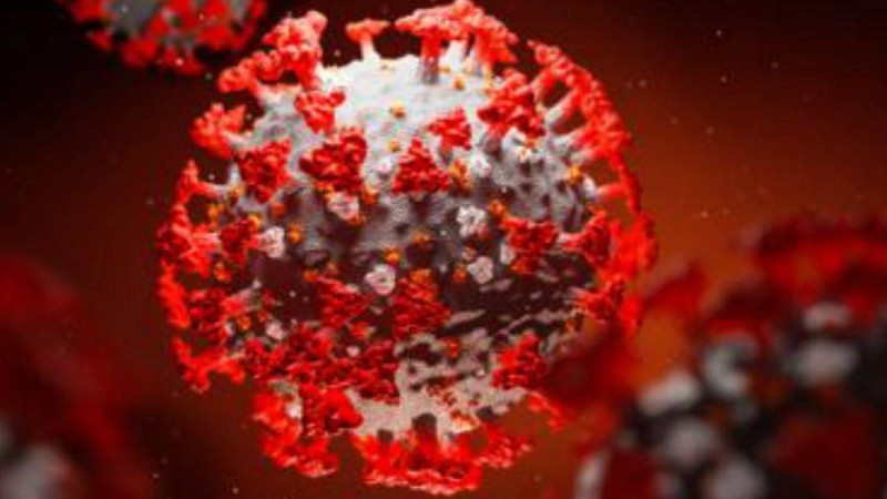 Вирусолог жақында коронавирустың әлсірейтінін айтты - Қазақстан жаңалықтары