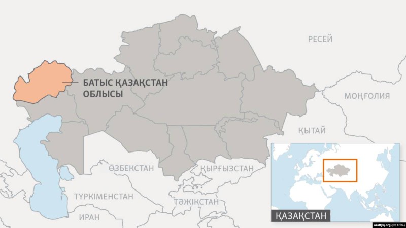 БҚО-да мүйізі кесілген ондаған киіктің өлігі табылды