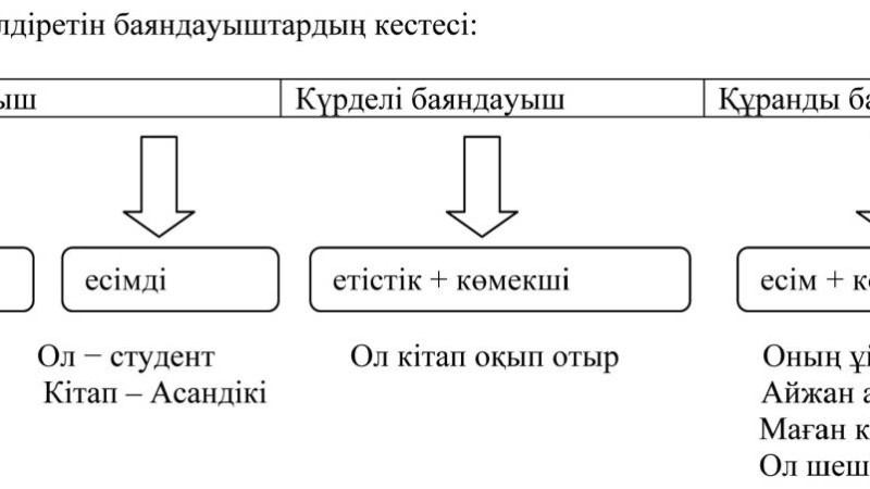 Қазақ тіліндегі предикаттық, посессивтілік өрістері