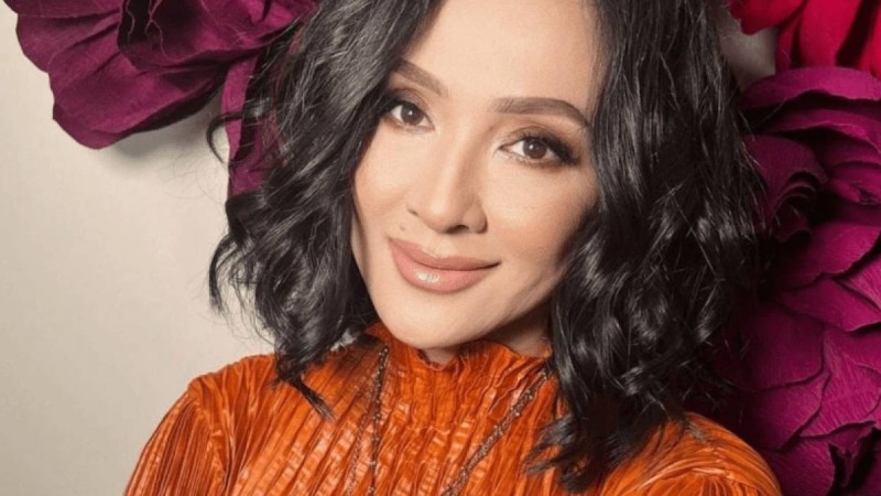 "Үш пәтер, бір үй, қымбат көлік": Меруерт Түсіпбаева байлықтың өзіне қайдан келетінін айтты