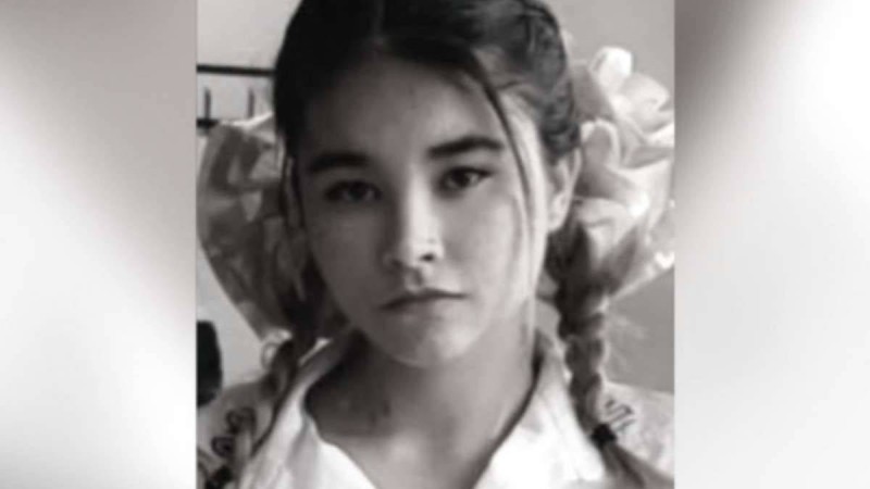 Туыстары "Синий кит" ойынының кесірі деп отыр: Алматы облысында үздік оқушы асылып өлді