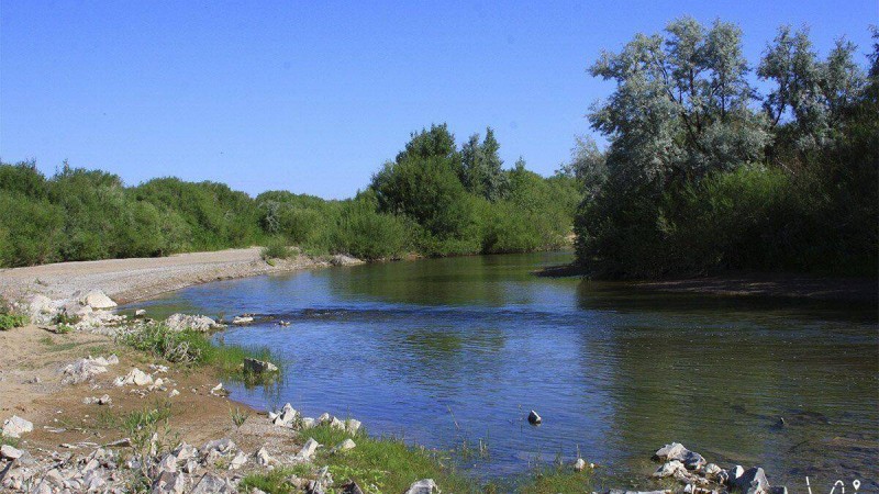 «Аягөзде эколог та жоқ»: Ринат Зайытов өзен жағдайын бақылайтын комиссия құруды ұсынды