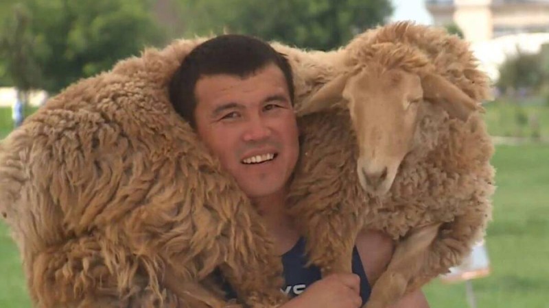 Жаңа Рекорд: Арыс тұрғыны қошқарды 3555 рет көтерді