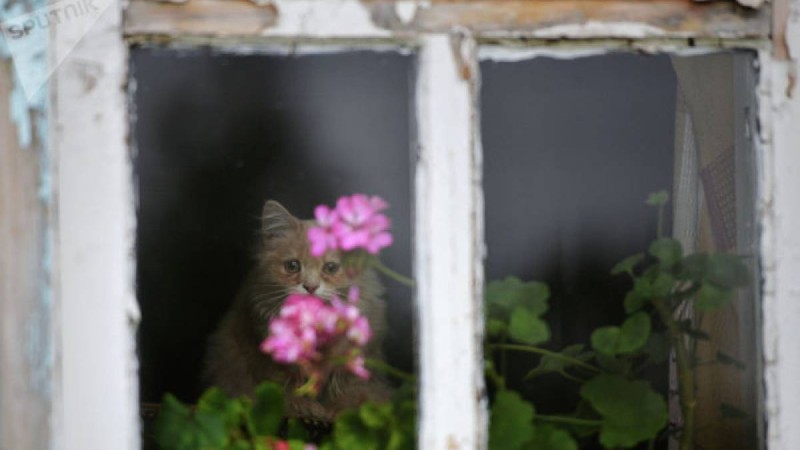 Депутат Амқола облысындағы ауыл тұрғындарының жанайқайын жеткізді