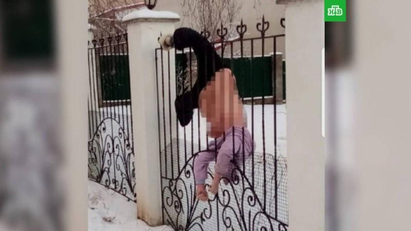 Ешкім көмекке келмеген: Қоршаудан асып өтпек болған әйел үсіп өлді