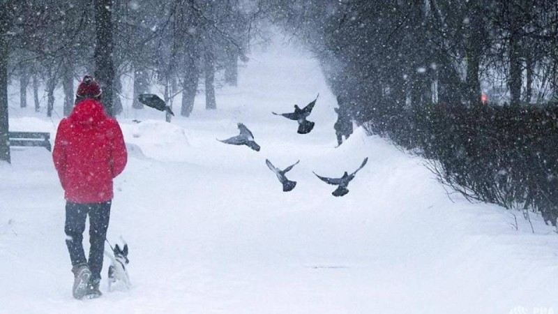 Қазақстанда ақпан айында ауа райы қандай болады - Қазақстан жаңалықтары