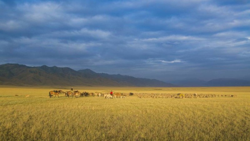 Қазақстан Ресей депутатының "жерді сыйға бердік" деген сөзіне қарсы нота жолдады