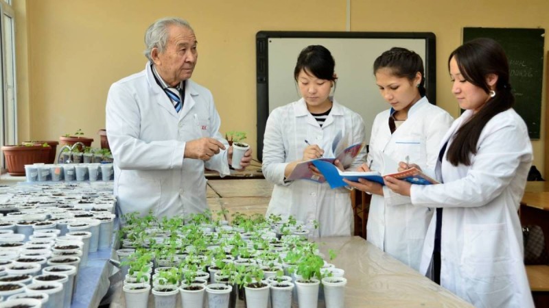 40-50 жылдан кейін қазақ жері шөлге айналады - профессор