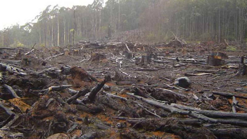 Жаңа вирустардың пайда болу себептері аталды - Қазақстан жаңалықтары