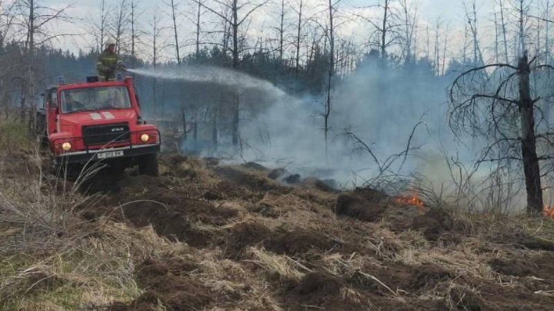 Абай облысындағы орман өрті шыққан жерге вице-министр келді  