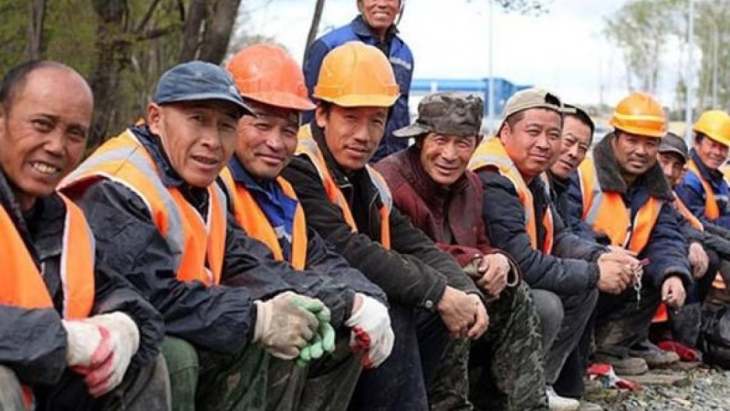 Қытайдан келген 650 мигрант Қазақстанда бастық болып жүр