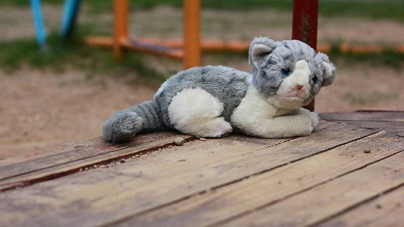 ішкі істер министрлігі жоғалған балалар туралы айтты