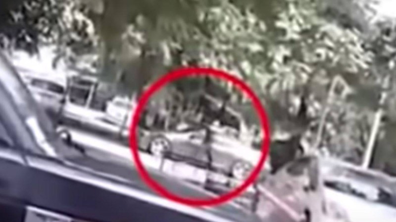 Алматы облысында көшенің қақ ортасында ер азаматты атып кетті