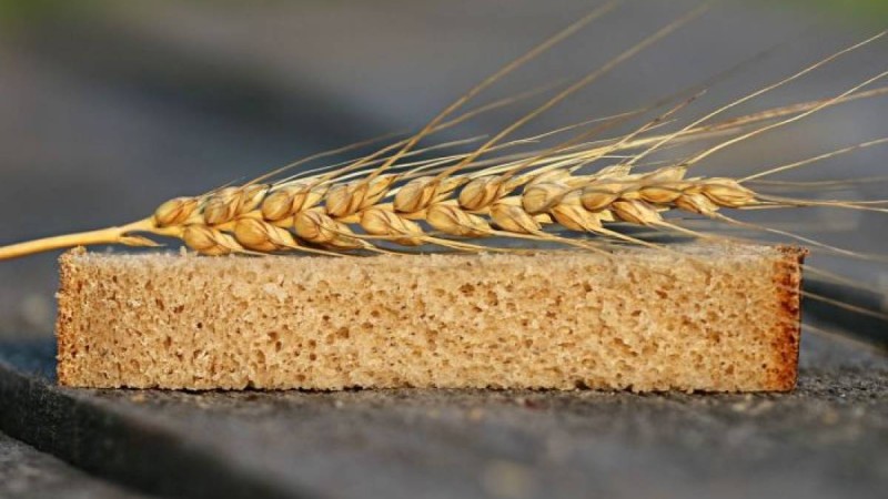 Астықтың кем жиналуы нан бағасына әсер ете ме