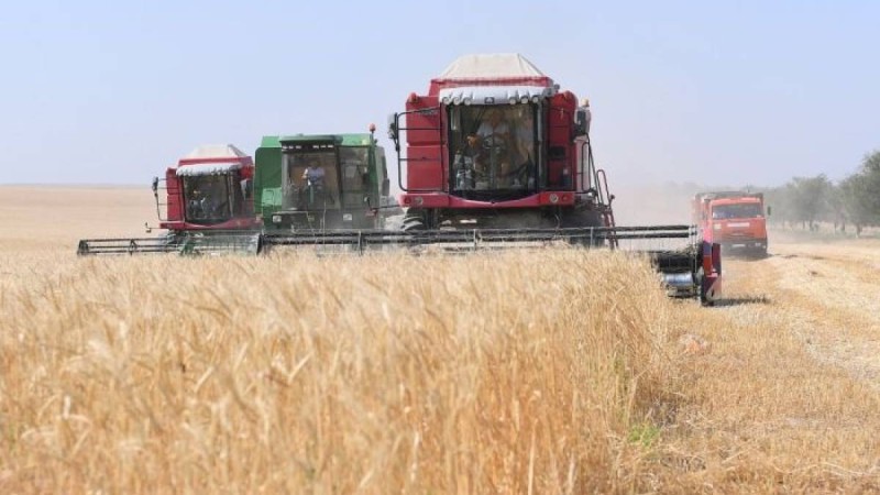 Қазақстанның бірнеше облысында аптап ыстықтан егіс алқаптарына зиян келді