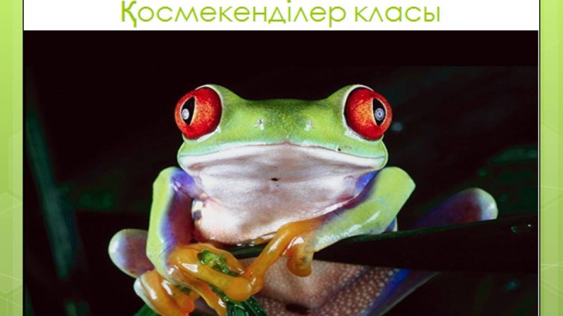 Презентация (слайд): Биология|Қосмекенділер класы