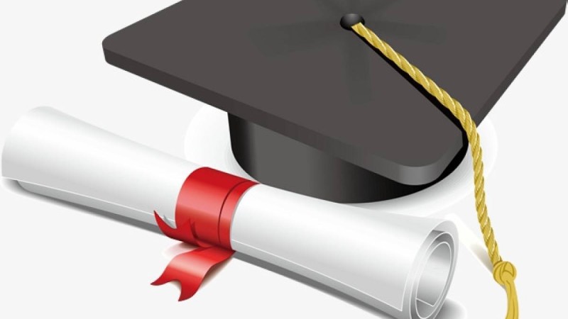 Дипломдық жұмыс: Дене шынықтыру | Палуандардың физикалық дайындығыгың ерекшеліктері