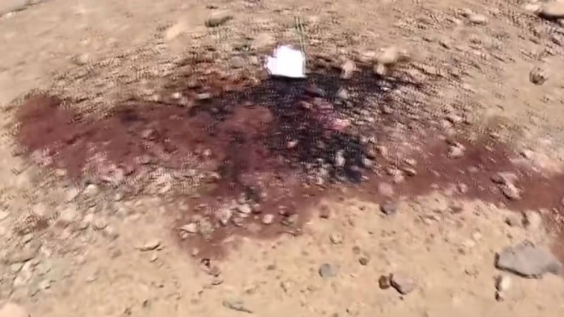 Оқиға орнынан қан іздері табылды: Апорт қасынан өлі табылған ер адамның кім екені анықталды