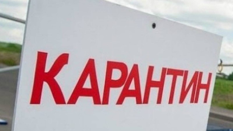 5 мың теңгеге бақылау-өткізу пунктінен өтеді: Ақтөбе облысында ауыл тұрғынының арызына байланысты тексеруді басталды - Қазақстан жаңалықтары