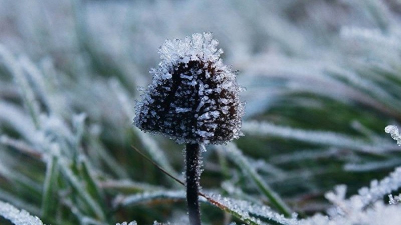 Ауа райы болжамы: 3, 4, 5 қыркүйек