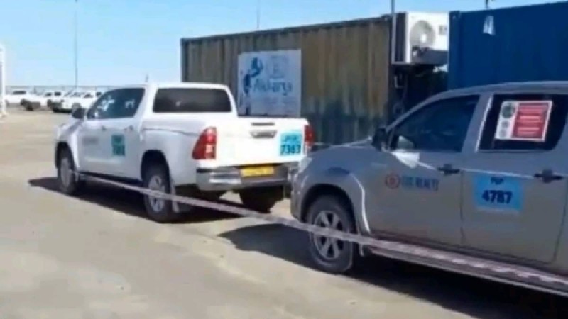 Теңізде құстар ұя салған көліктердің жұмысы уақытша тоқтатылды