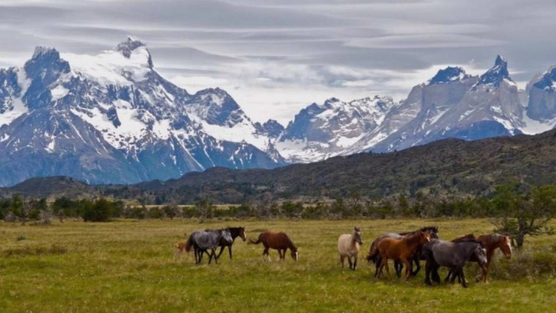 Қазақстанда миллиондаған гектар пайдаланылмайтын жер қолданысқа беріледі