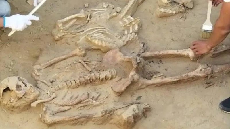 Қазақ халқының генетикалық тарихы 7 мың жылға тереңдеді — жаңа зерттеу