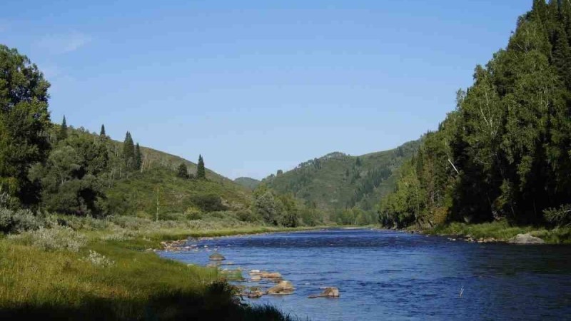 ШҚО-да жоғалып кеткен жасөспірім өлі күйінде табылды