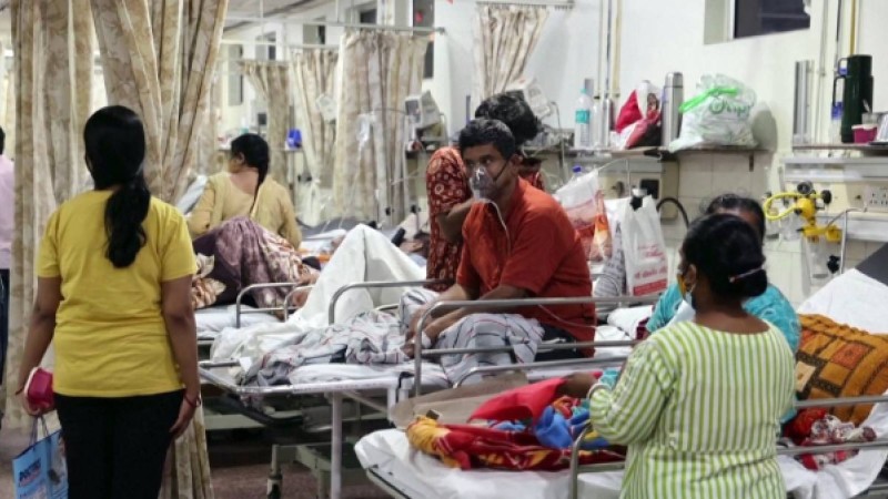 Үндістанда вирустан көз жұмғандардың денесі өзенге тасталып жатыр