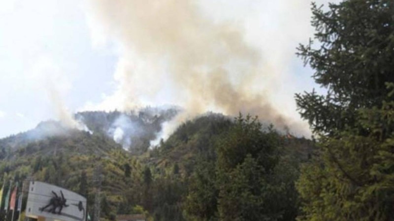 Медеуді өртеген қос азамат іздестірілуде