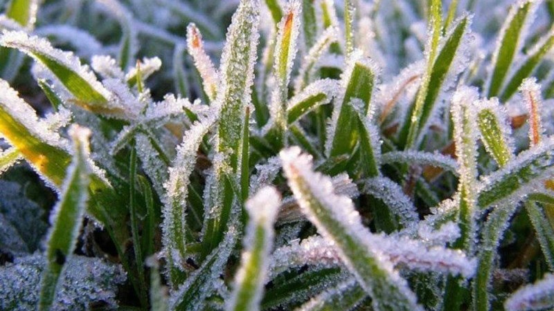 Үсік жүреді: Еліміздің бірқатар өңірінде дауылды ескерту жарияланды