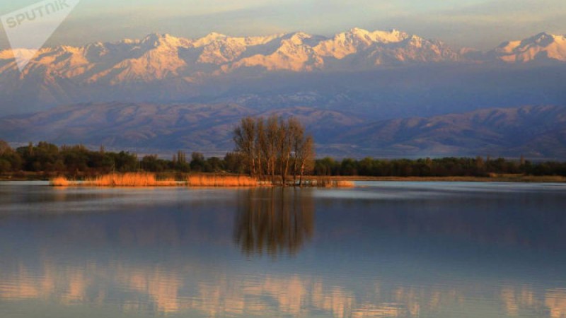 Ұлттық парк аумағынан небәрі 35 гектар жер жалға берілді – экология вице-министрі