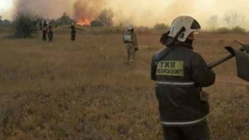 Теміртауда өрт болды: 700 саяжай үйі жанып кетті
Теміртауда болған өрттен екі адам зардап шекті