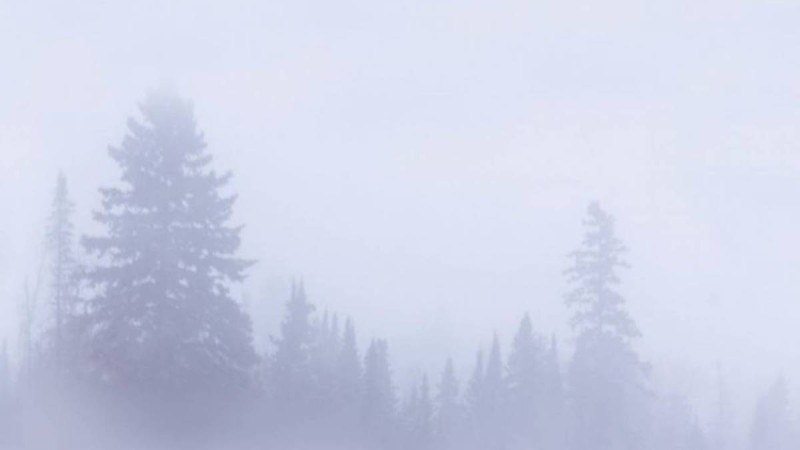 Аяз, боран және көктайғақ. 4 желтоқсанға арналған ауа-райы