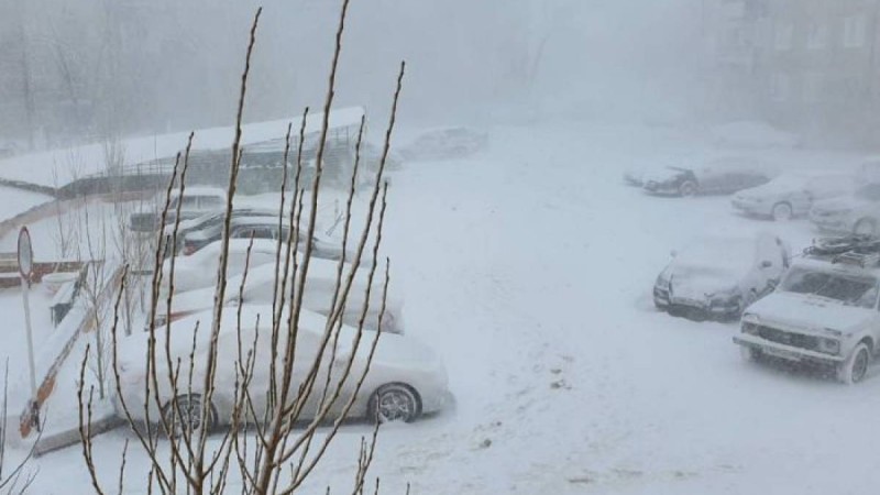 Тұрғындар сәуірде жауған қардың видеосын жарыса бөлісіп жатыр