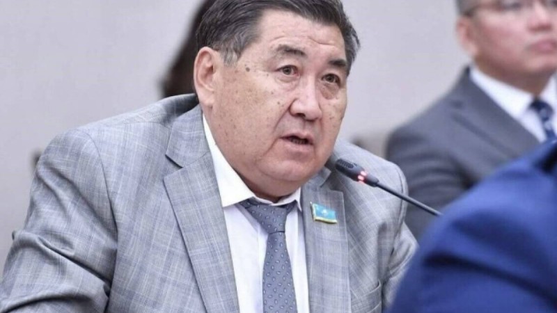 Ермұрат Бапи Қазақстанға оралды