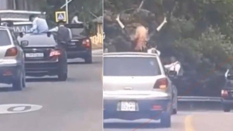 Таразда түлектер кортежіне қатысушылар жазаланды