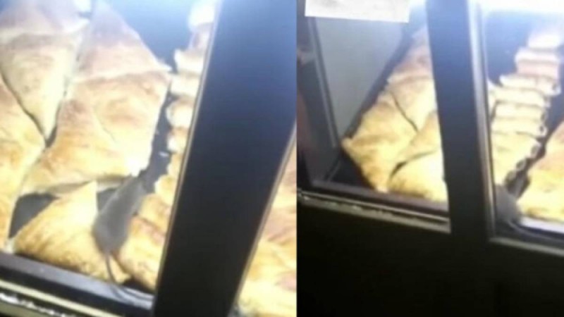 "Саяхаттан самса жемеңдер": Алматыда самсаның үстінде жүрген тышқанға байланысты тексеріс басталды (видео)