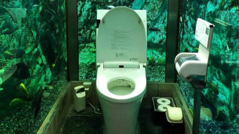 Құны 93 млн теңгеден асады: Жапониядағы дәмханаға клиенттері тамақ емес, дәретхана үшін келуде (видео)