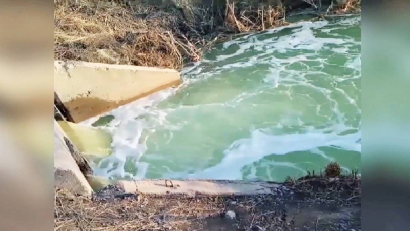 Кеннен шыққан жасыл су қазақстандықтарды шошытты