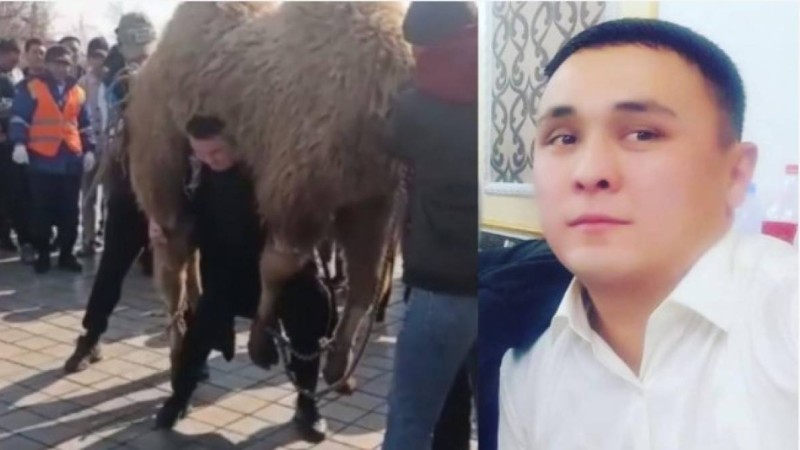 Спортшы емес. Талдықорғанда 280 келі түйе көтерген ер адам кім?
