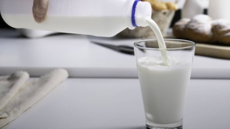 14 миллион теңгеге бір литр сүт: Қызылорда облысында ерекше тендер анықталды