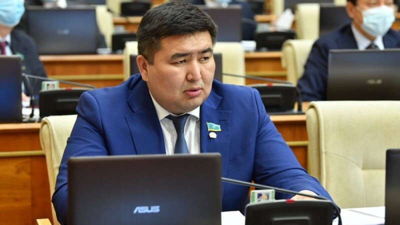 «Дүкенге баруға қорқасың»: депутат қымбатшылық халықты қысып жатқанын айтты