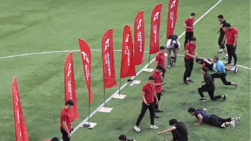 Павлодар қаласында алғашқы ресми қырандар пайда болды