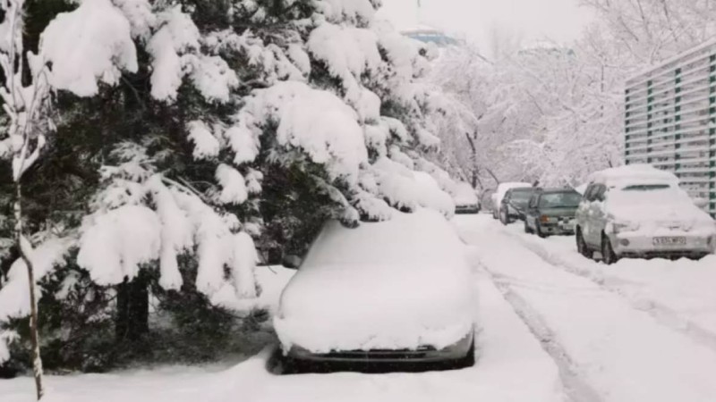 Қар құрсауынан жүздеген адам құтқарылып жатыр