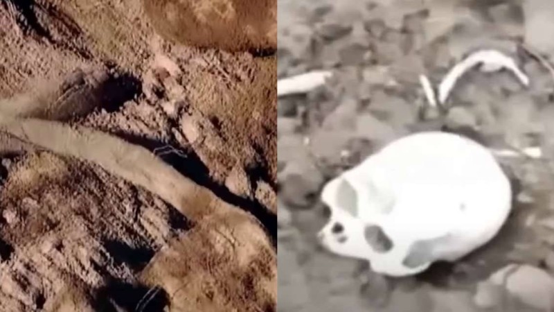 Алматы облысында перзентхана маңынан табылған адам сүйектері тұрғындардың үрейін тудырды