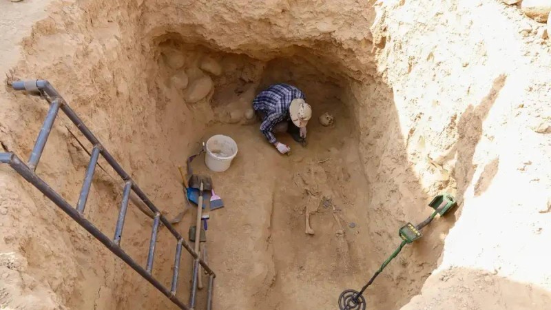 Қытайда кішкентай динозавр іздері табылды